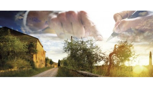 Cession du bail rural, mode d’emploi
