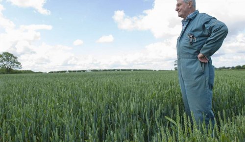 Quelle durée pour un bail rural à long terme conclu au profit d’un exploitant âgé ?