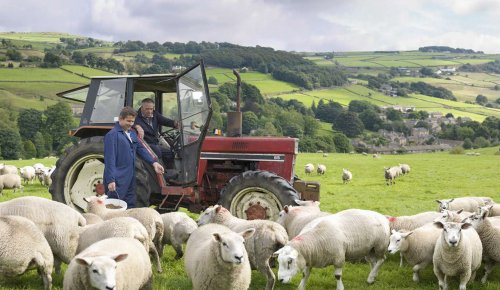 Exploitants agricoles : fin de l’option fiscale pour la moyenne triennale