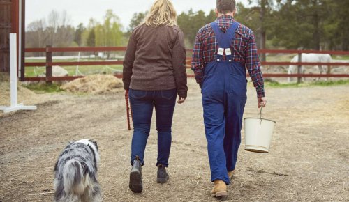 Départ de l’un des cotitulaires d’un bail rural sans en informer le bailleur