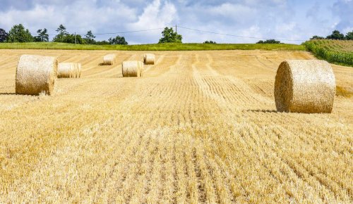 Baux ruraux : forte hausse du montant des fermages