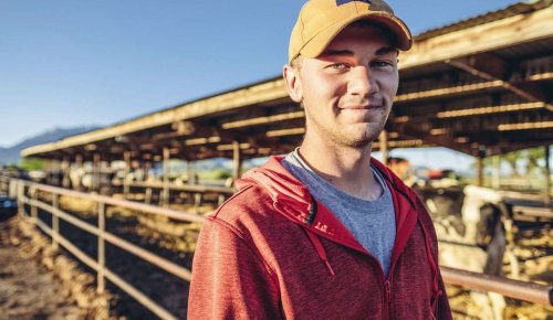 Jeunes agriculteurs : une exonération de cotisations plus généreuse