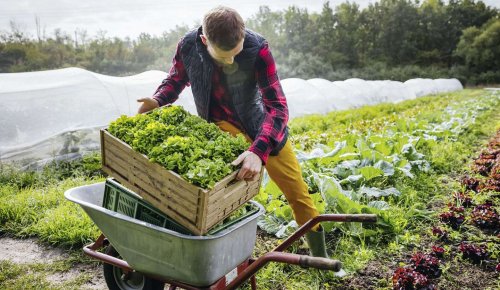 Prorogation de deux crédits d’impôt spécifiques aux exploitants agricoles