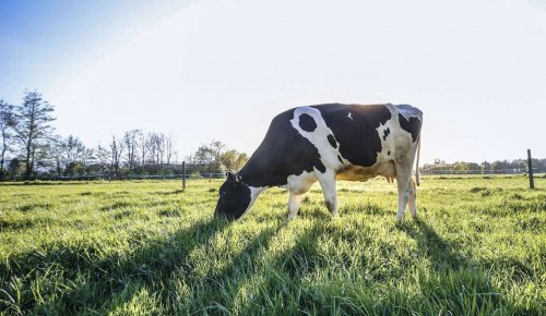 Loi d’orientation agricole : les principales mesures