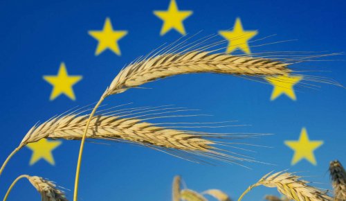Exploitants agricoles : plus que quelques jours pour déposer votre déclaration Pac