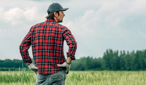 Exploitants agricoles : le dispositif des prêts de consolidation est opérationnel