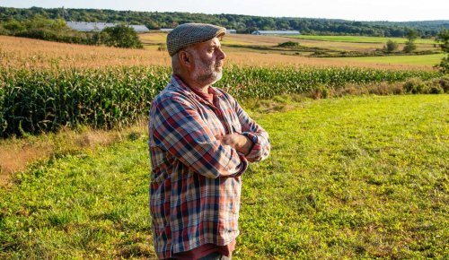 Décès d’un exploitant agricole : option pour l’assiette forfaitaire de cotisations
