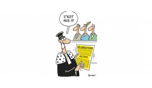 Nullité des décisions en droit des sociétés