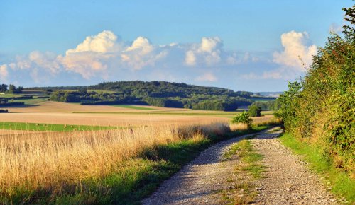 Les prix des terres agricoles ont encore augmenté en 2024 !