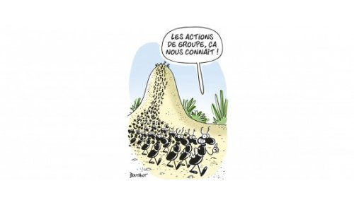 Action de groupe d’une association