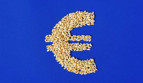 Agriculture : augmentation de plusieurs aides de la Pac au titre de 2024