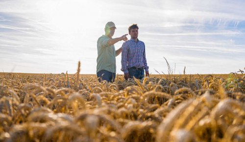 À quel moment peut-on insérer une clause de reprise sexennale dans un bail rural ?