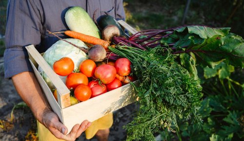 Exercice d’une activité commerciale accessoire par une société agricole : du nouveau !