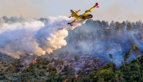Un soutien de l’Urssaf pour les entreprises victimes des récents incendies ou intempéries