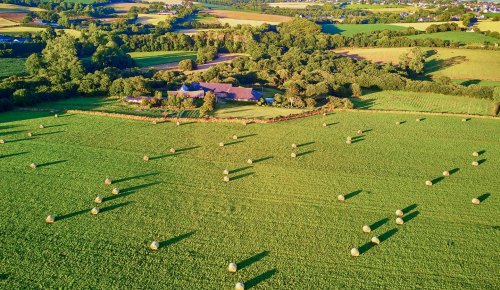 Le prix des terres agricoles et viticoles en 2024