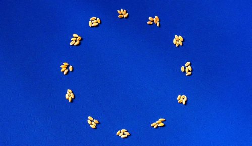 Exploitants agricoles : fixation des montants 2025 de certaines aides Pac