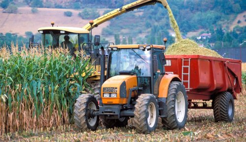 Des mesures fiscales de soutien au secteur agricole dans le budget 2026
