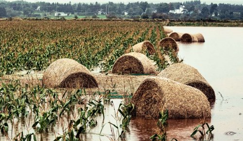 Déduction pour épargne de précaution : quelles conditions pour l’exonération fiscale ?