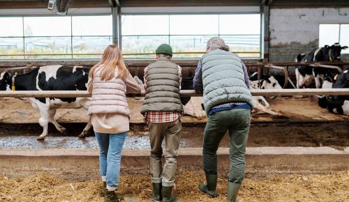 Décès d’un non-salarié agricole : capital décès pour ses ayants droit