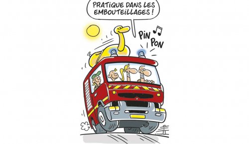 Véhicule de service