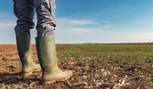 Un train de mesures fiscales pour le secteur agricole