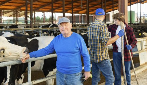 Décès d’un non-salarié agricole : capital décès pour ses ayants droit