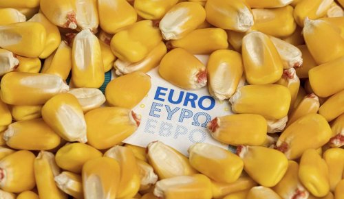 Exploitants agricoles : plus que quelques semaines pour déposer votre déclaration Pac