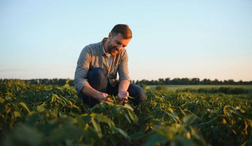 Exploitants agricoles : renforcement de la déduction pour épargne de précaution