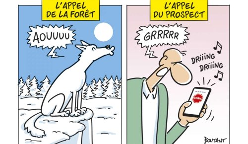 Démarchage téléphonique