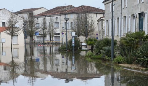 Service civique : un congé exceptionnel pour répondre à une situation d’urgence