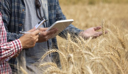 Non-salariés agricoles : des cotisations dues pour une année entière