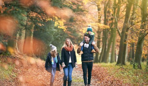Jours fériés du mois de novembre : comment procéder ?