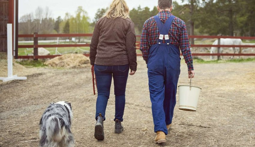 Départ de l’un des cotitulaires d’un bail rural sans en informer le bailleur