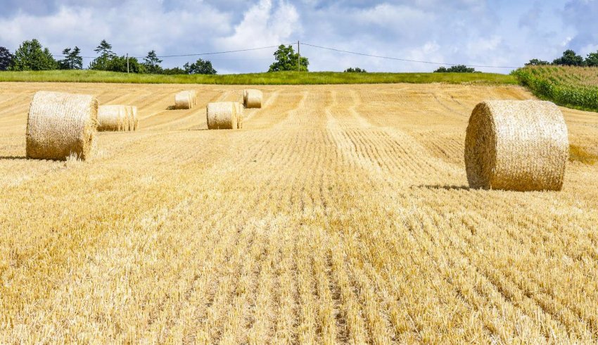 Baux ruraux : forte hausse du montant des fermages