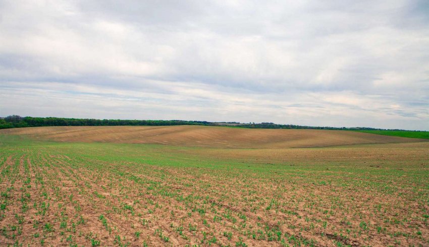 Le prix des terres agricoles et viticoles en 2023