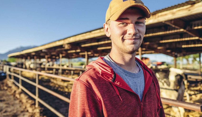 Jeunes agriculteurs : une exonération de cotisations plus généreuse