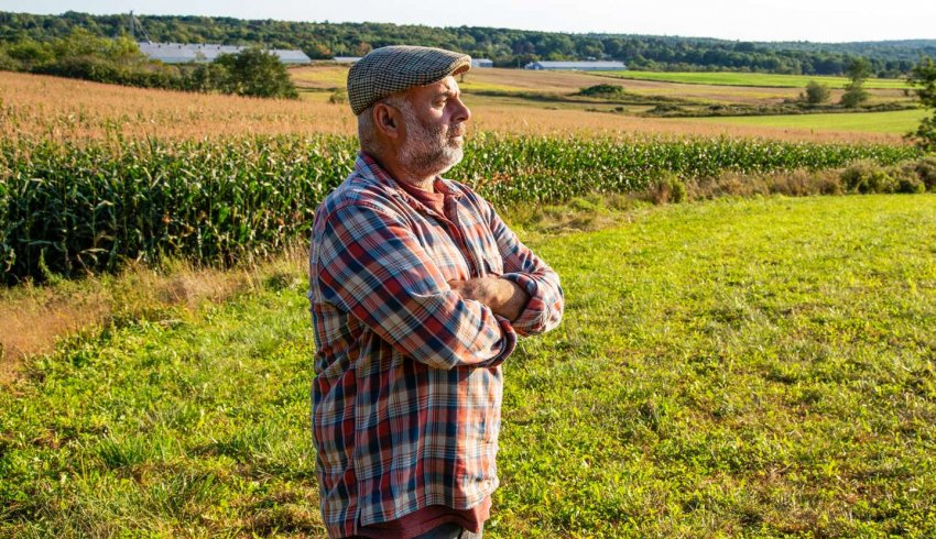 Décès d’un exploitant agricole : option pour l’assiette forfaitaire de cotisations