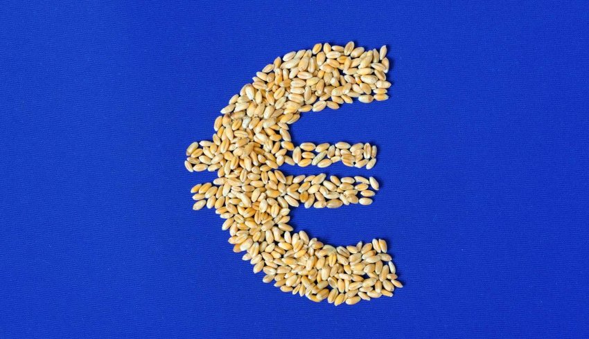 Agriculture : augmentation de plusieurs aides de la Pac au titre de 2024