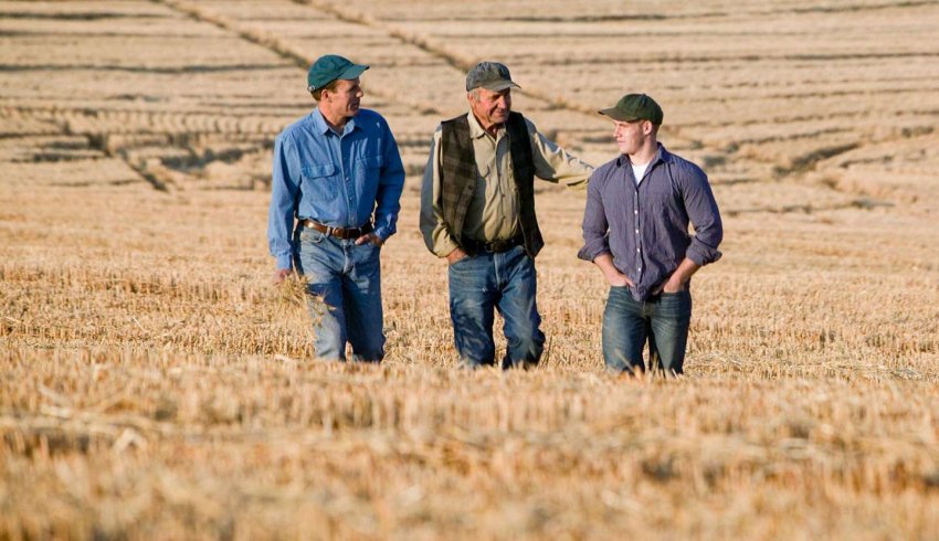 Reprise de terres agricoles données à bail par une société familiale