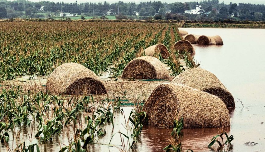 Déduction pour épargne de précaution : quelles conditions pour l’exonération fiscale ?