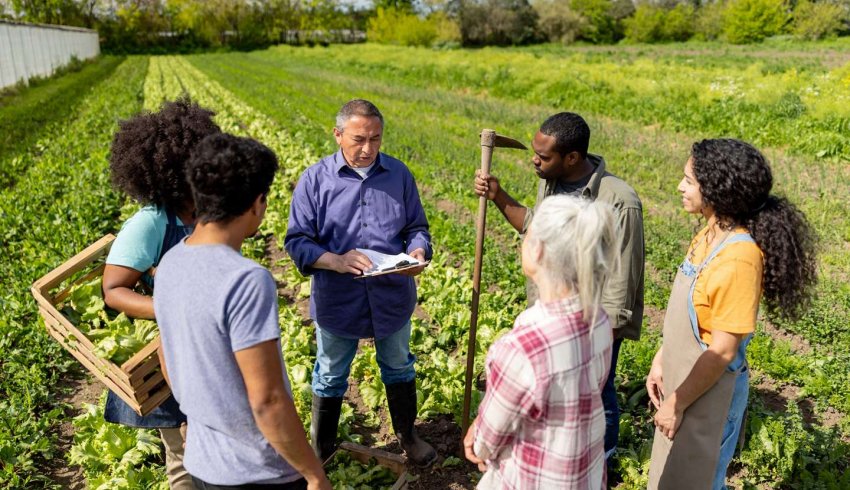 Les associations agricoles employeuses en 2024