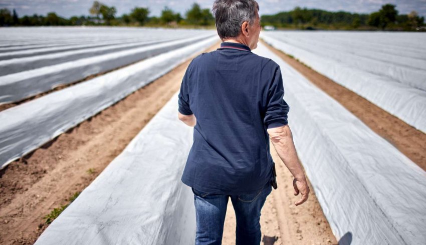 Non-salariés agricoles : vers une meilleure pension de retraite de base ?