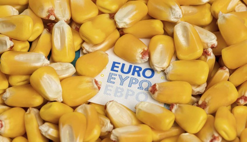 Exploitants agricoles : plus que quelques semaines pour déposer votre déclaration Pac