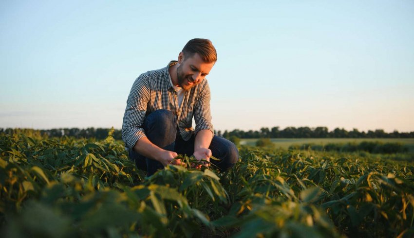 Exploitants agricoles : renforcement de la déduction pour épargne de précaution