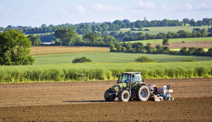 Les prix des terres agricoles à la hausse en 2025