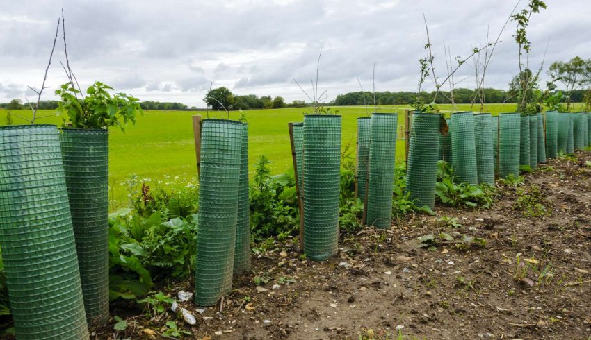 Exploitants agricoles : hausse du montant de plusieurs aides Pac au titre de 2025