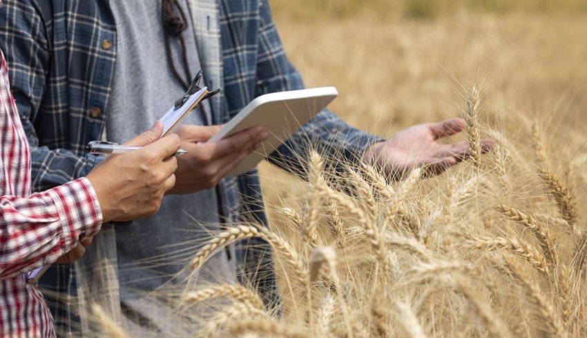 Non-salariés agricoles : des cotisations dues pour une année entière