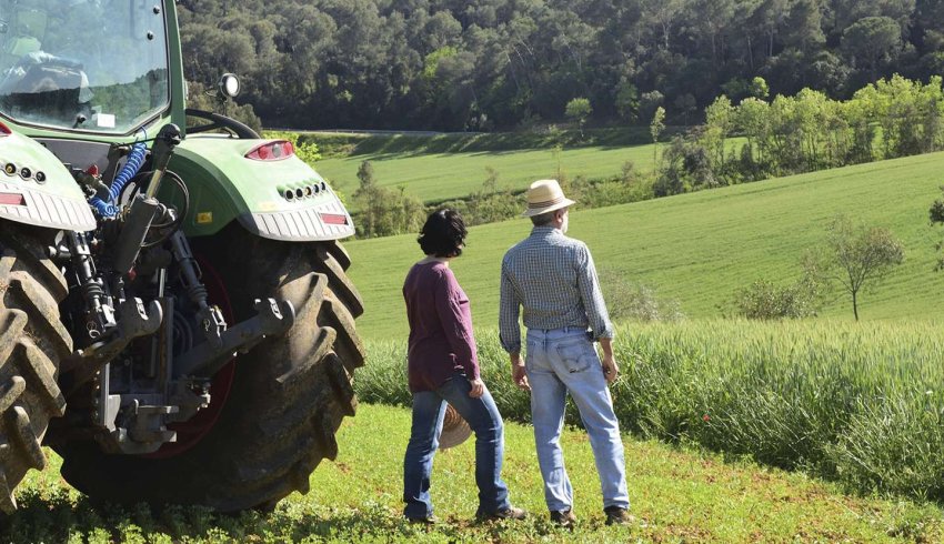 Exploitants agricoles : quel statut juridique pour votre conjoint ?