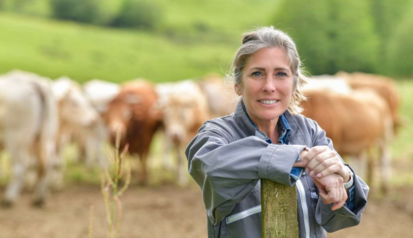 De nouvelles mesures de soutien en faveur des agriculteurs