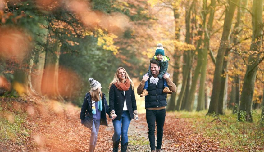 Jours fériés du mois de novembre : comment procéder ?